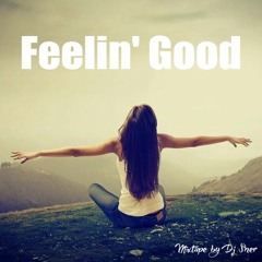 Feelin' Good (Spring 2017) | Mixtape by Dj Sner