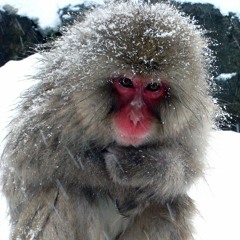 Cold