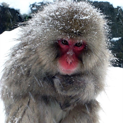 Cold