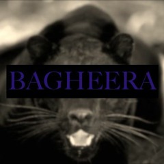 Bagheera