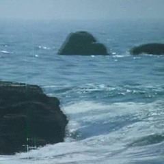 wish i was here