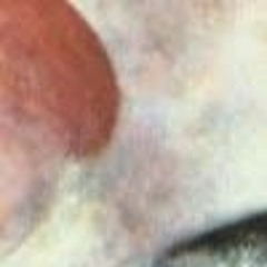 Songs I’ve Produced