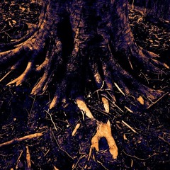 Root's Embrace