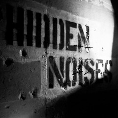 Jarus - Hidden Noises 08.04.2017 record