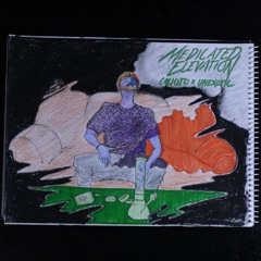 Medicated Elevation(Prod. Unexotic)