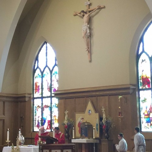 Stream Msgr Desmond O Connor Palm Sunday Passion Sunday Walk With