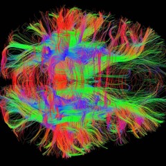 Chemical In My Brain