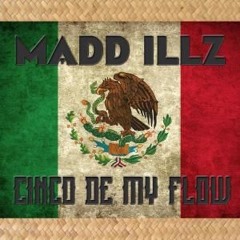 Madd Illz - We Are Guerrillas