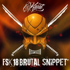18 Karat âï¸ FSK18 BRUTAL BONUSTRACKS âï¸ [ official Snippet ] Bonus CD