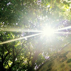 我最亲爱的试唱VER1.mp3