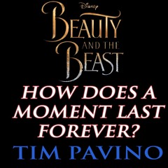 How Does A Moment Last Forever? (Disney Cover) - Tim Pavino