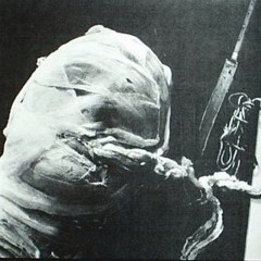 Self-Immolation