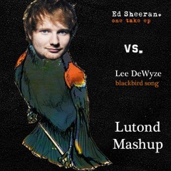 Ed Sheeran vs. Lee DeWyze - Wayfaring Blackbird (Lutond Mashup)