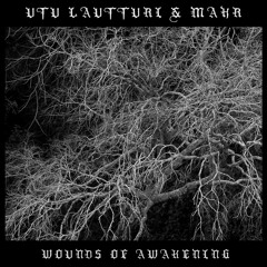 Utu Lautturi & Mahr: Wounds Of Awakening [Hypogeum Records 2017]