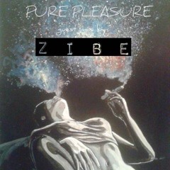 ZIBE-Pure Pleasure Guest Mix Vibes Radio(April 2017)