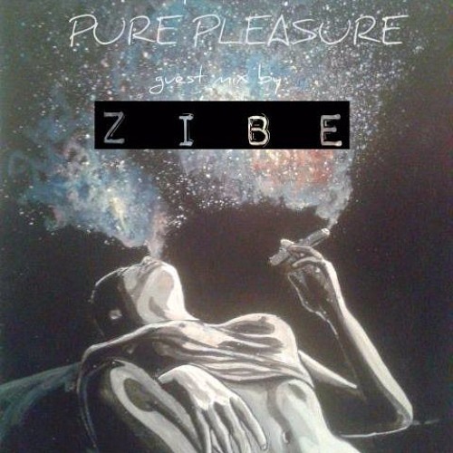 ZIBE-Pure Pleasure Guest Mix Vibes Radio(April 2017)