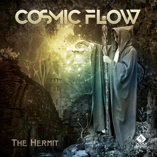 Cosmic flow