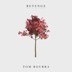 Tom Bourra - Revenge (Free Download)