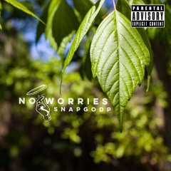 No Worries (Prod. By Bless Brian)
