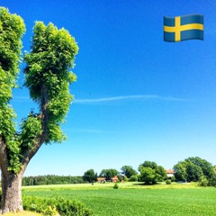 Du gamla du fria (Swedish National Anthem)