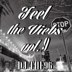 Feel The Vibes vol,9