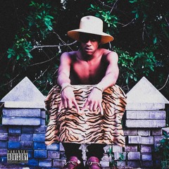 Got Dat - Mister_Pookey