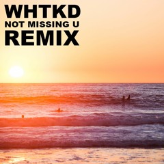 WHTKD - Not Missing You (Umaers Rmx)
