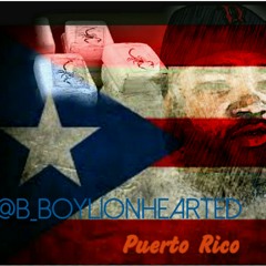 B_boylionhearted Puerto rico