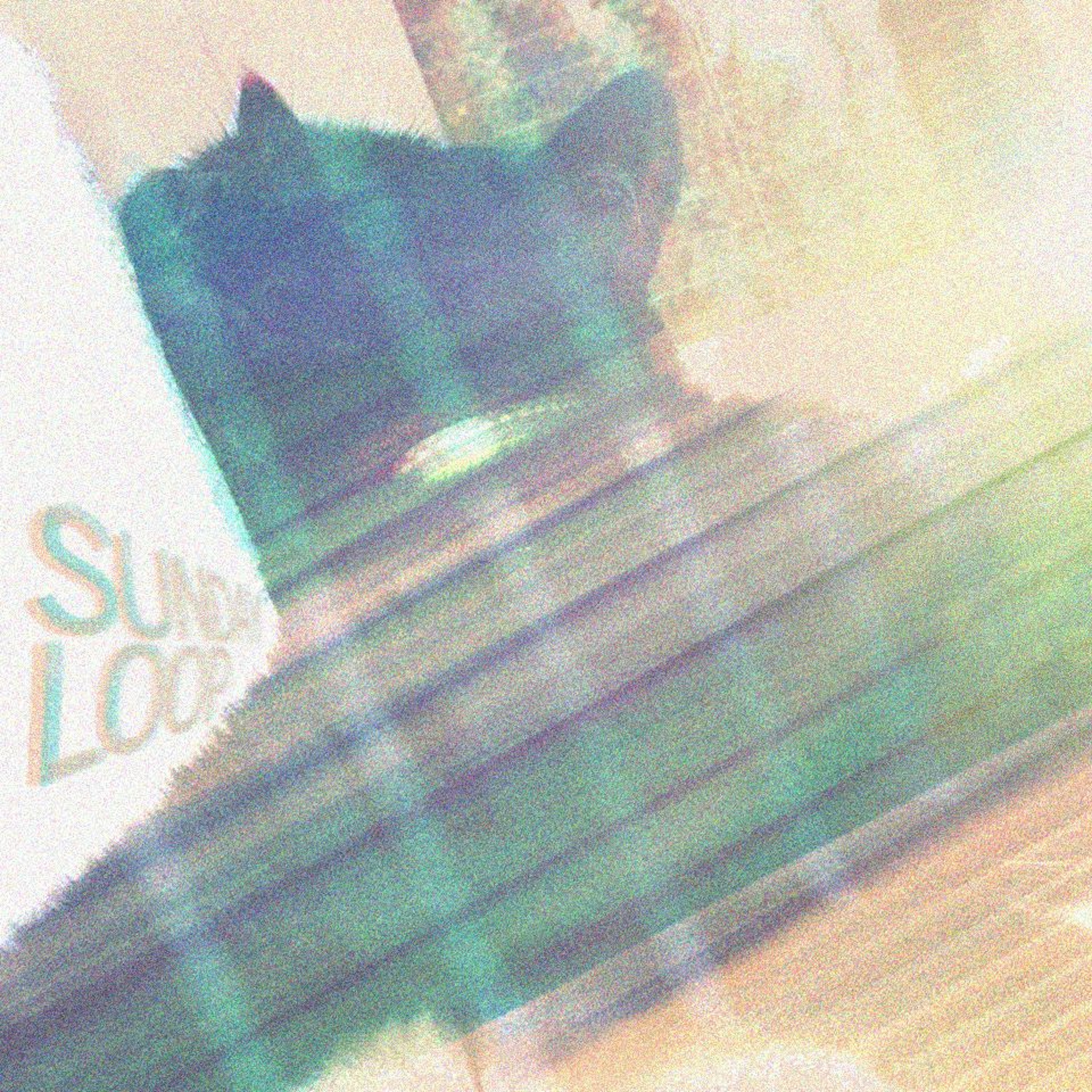 Sunday Loop episode artwork