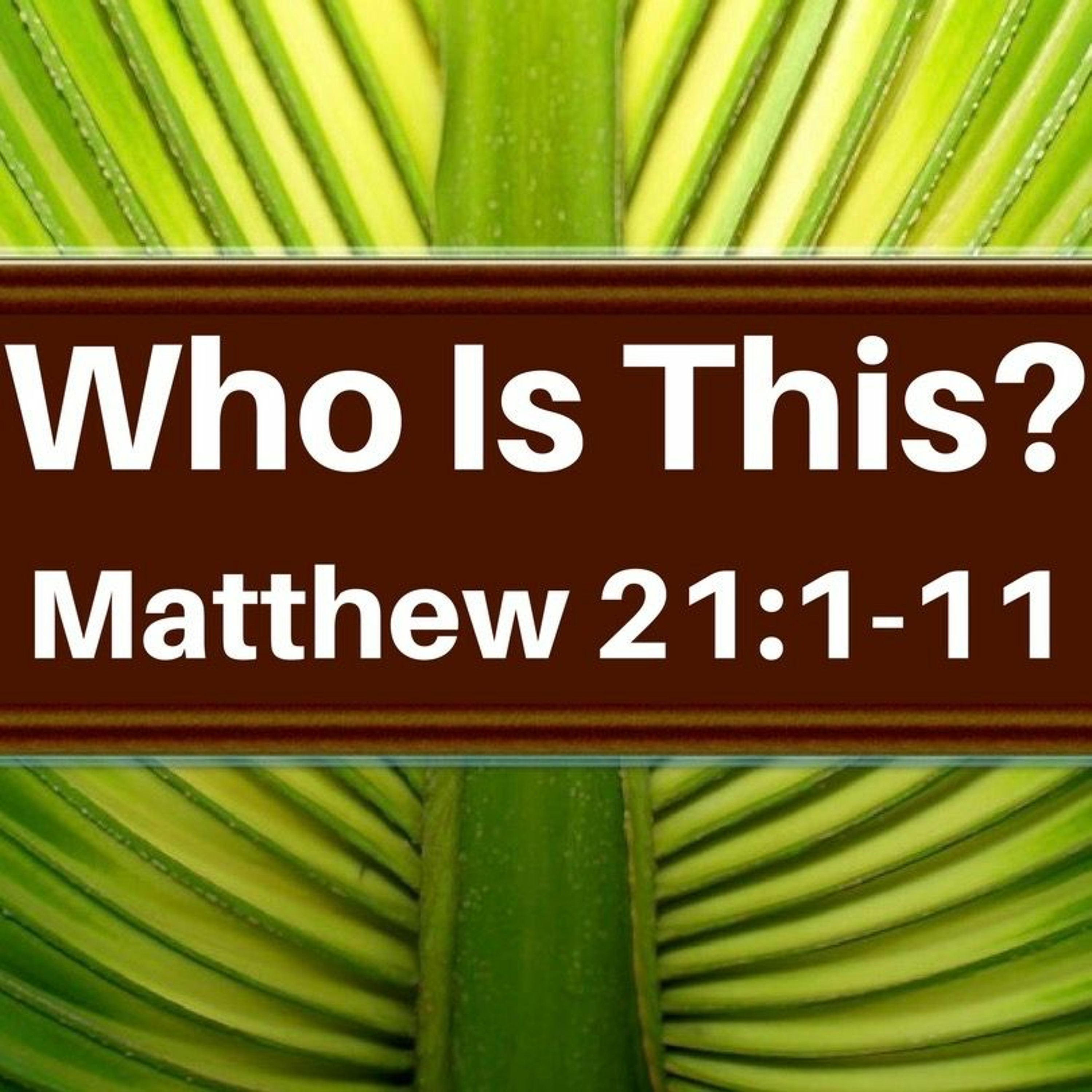 Who Is This? Matthew 21:1-11 episode artwork