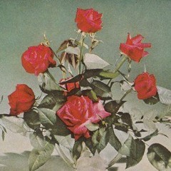 canvas in ur gallery