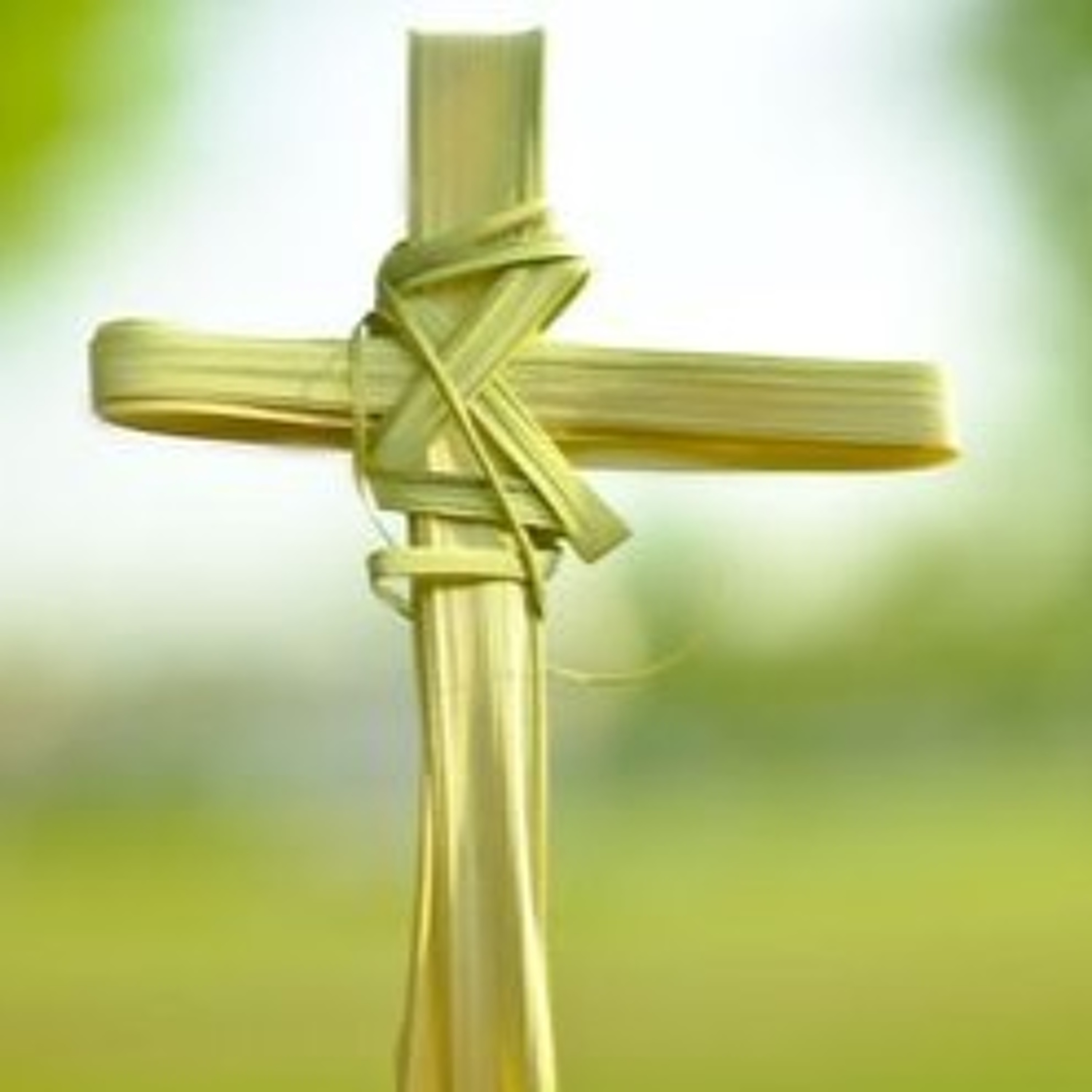 Lent: Lost Time and Good Fruits - Homily for April 9