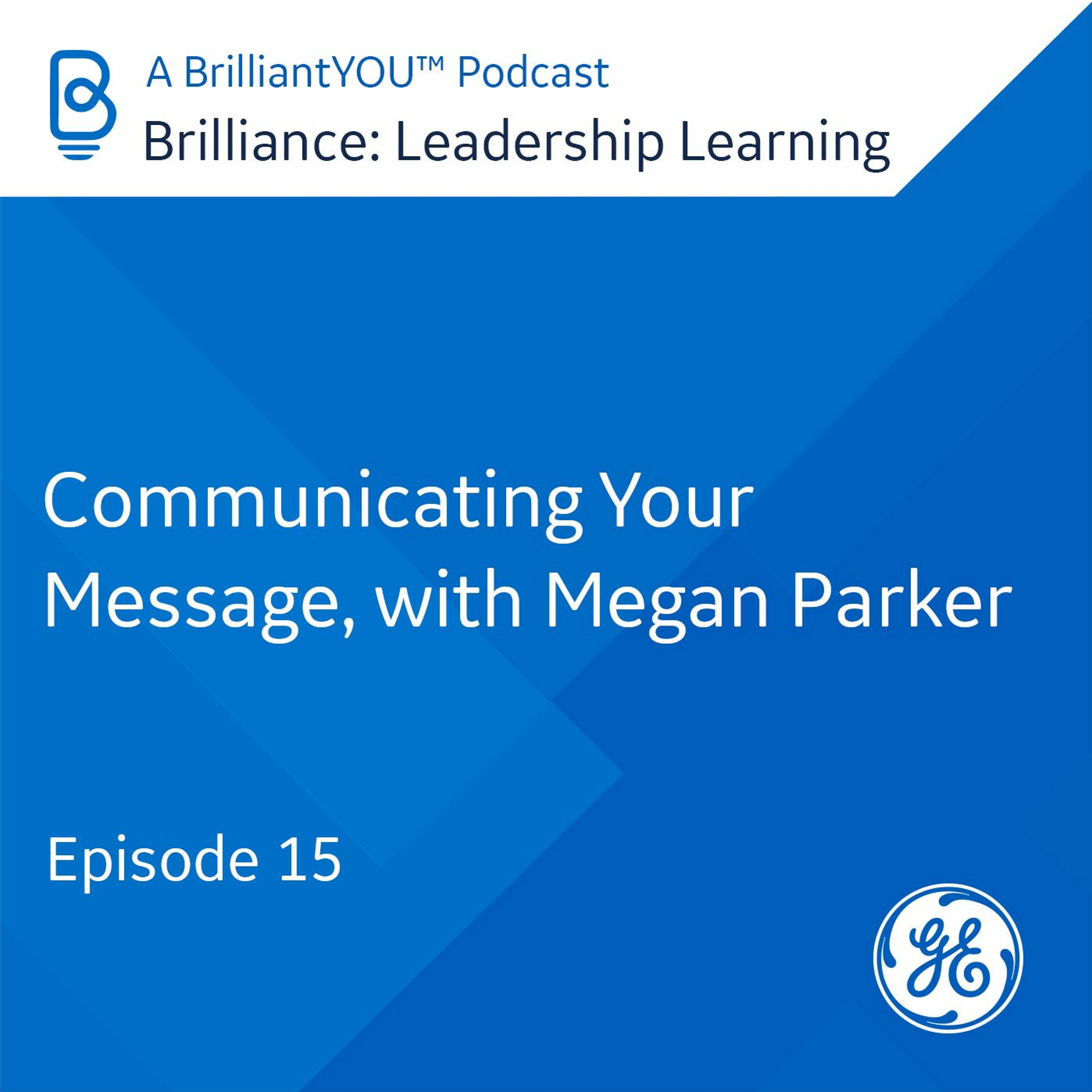 Brilliance: Leadership Learning