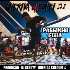 PASSINHO FODA - QUERIDA CHEGUEI -( DJ SEDUTY )