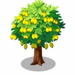 LURO - Lemon Tree