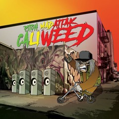 Caliweed PITCH MADATTAK (remix RAGGATEK)