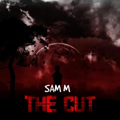 Sam M - Future remix (The cut)