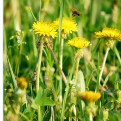 This is already something