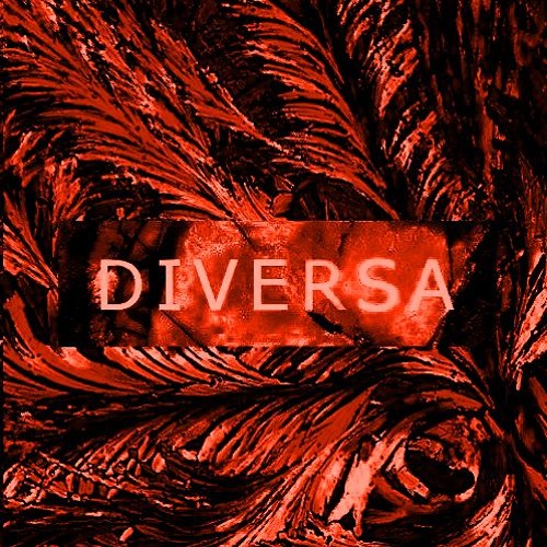 DIVERSA - transcode (CHROME's chaos flip)