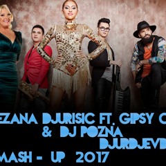 Snezana Djurisic ft. Gipsy Casual & DJ Pozna - Djurdjevdan (Mash - Up 2017)