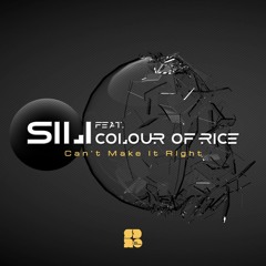 SiLi ft. Colour Of Rice - Not The One