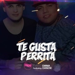 TE GUSTA PERRITA - DJ EMMA DANESE FT EL PEPE MIX