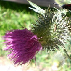 DEEP FKY SET DJ SNAKE '17