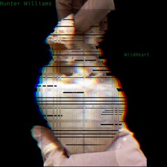 WildHeart (Prod. Dansonn)