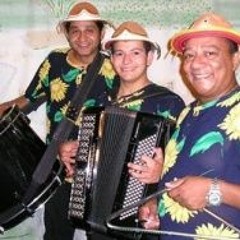 Trio Araripe Ao Vivo Arena do Forro 230409 02