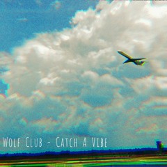 Catch A Vibe
