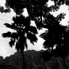 Tales From The Lair - Junior Sessions