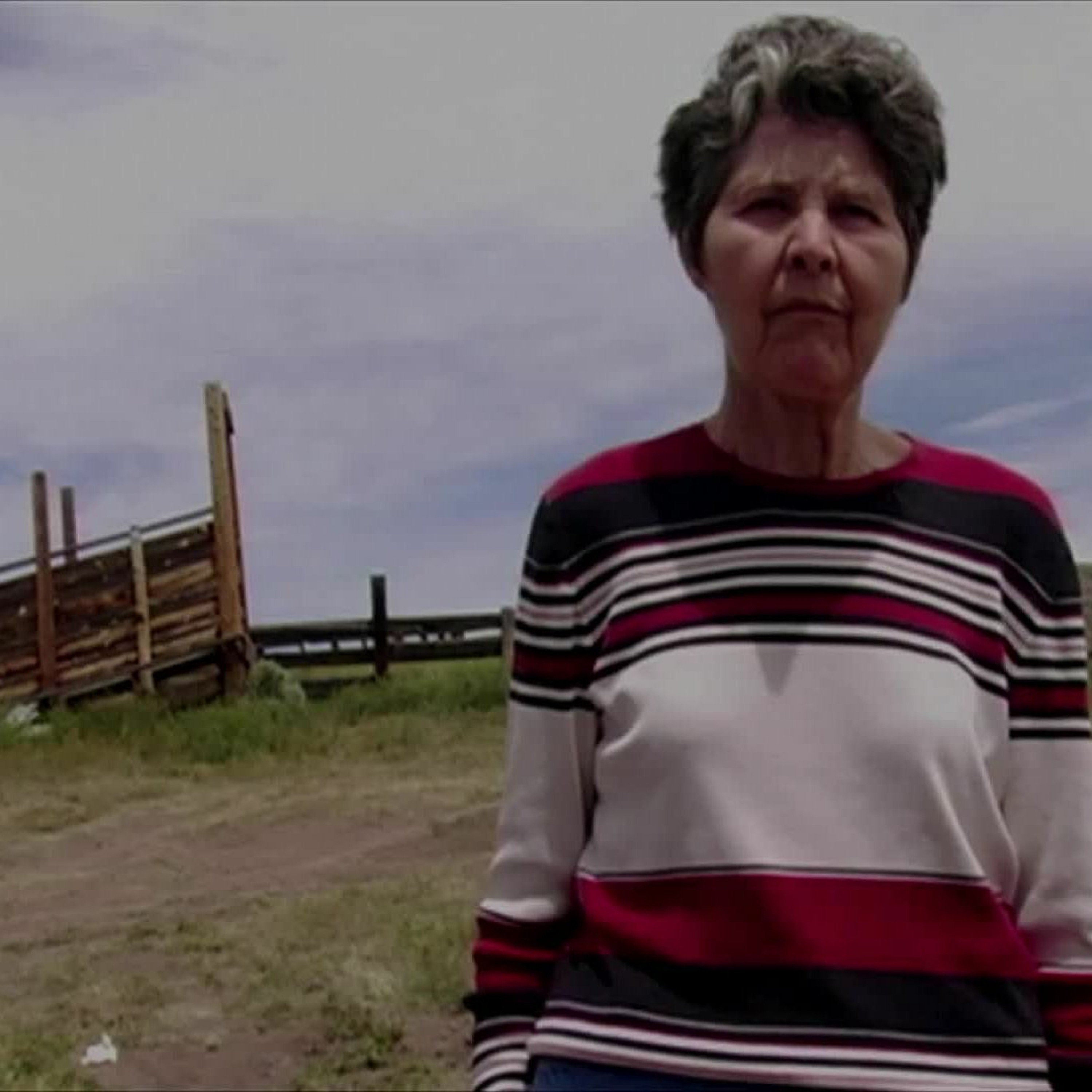 #290 Cameraperson (2016), de Kirsten Johnson