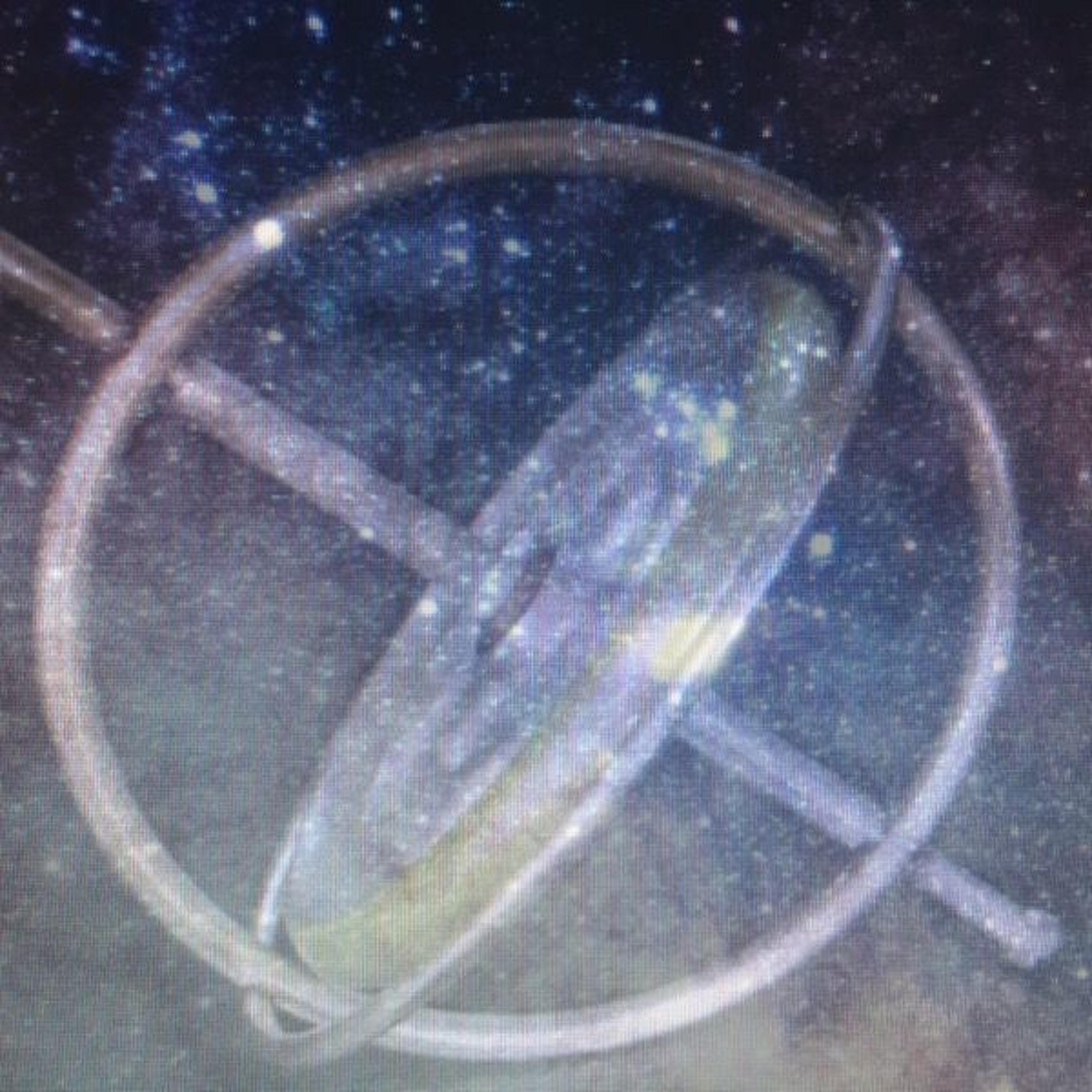 Gyroscopic Dub episode artwork