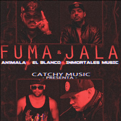 Fuma & Jala - An1mala ❌ El Blanco ❌ Inmortales Music